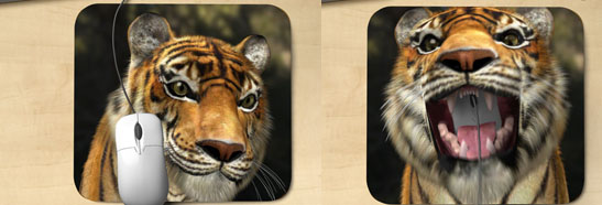 Tiger Advert designed with 3D ANIMATION and RIG for Bank of Cyprus Picture 4